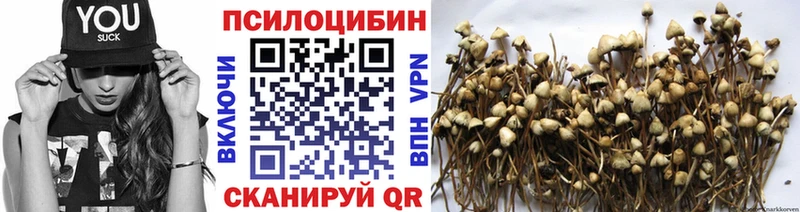 Псилоцибиновые грибы Psilocybine cubensis  mega как зайти  Дудинка 